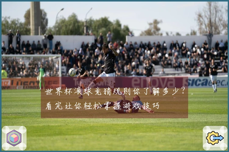 世界杯滚球竞猜规则你了解多少？看完让你轻松掌握游戏技巧