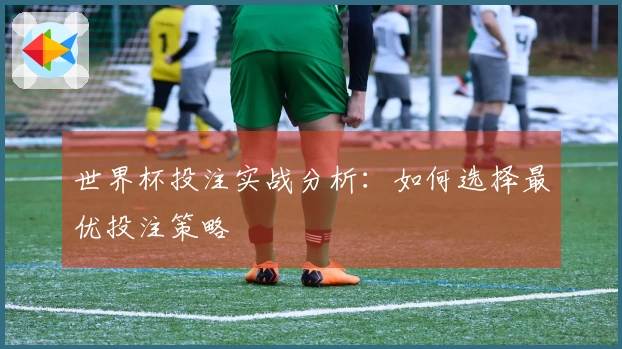 世界杯投注实战分析：如何选择最优投注策略