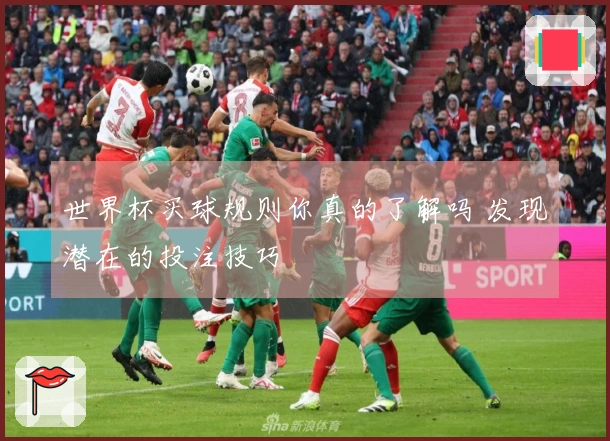 世界杯买球规则你真的了解吗 发现潜在的投注技巧