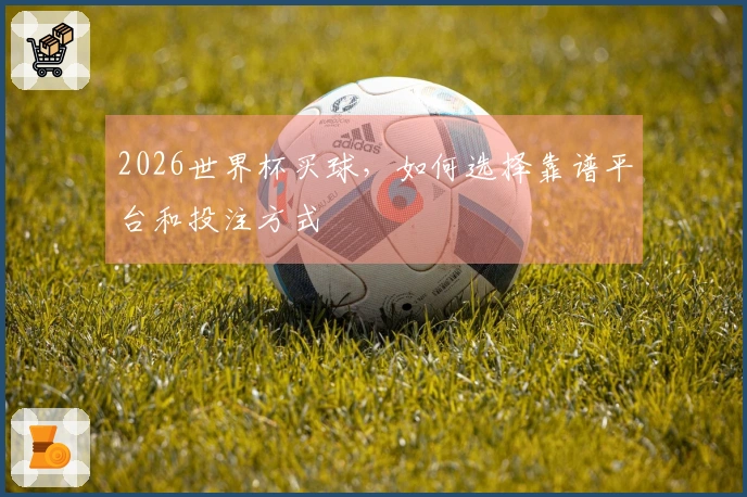 2026世界杯买球，如何选择靠谱平台和投注方式